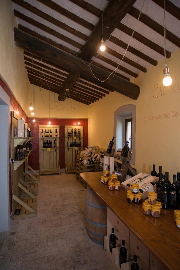 Luce Di Vino Villa Montalcino Ngoại thất bức ảnh